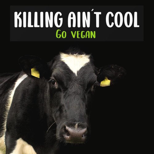 Killing Aint Cool Go Vegan Activism Bumper Sticker