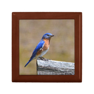 Killingworth Bluebird Jewelry Box