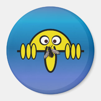 Kilroy Fly on Nose Magnet