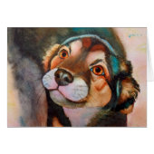 Kimba,Shepherd Terrier Mix (Front Horizontal)