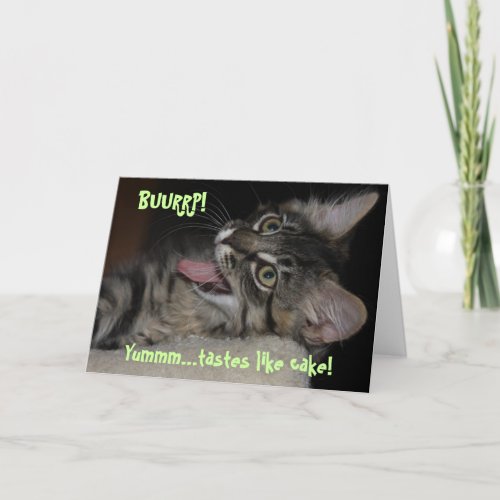 Kimber Burping Cat Birthday Card