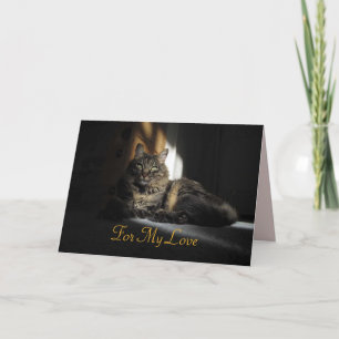 Kimber Cat Slivers of Sunlight Anniversary Card