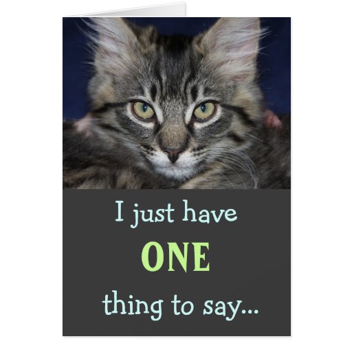 Kimber Cat Thank You Card | Zazzle