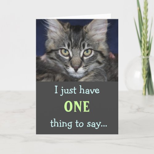 Kimber Cat You Card