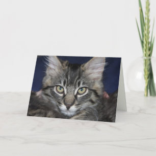 Kimber Kitten Happy Birthday Card