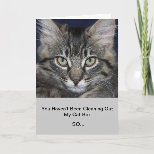 Kimber "Surprise For You" Birthday Card (Front)