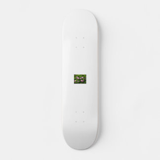 kinafex home page zazzle.com and market place skateboard deck