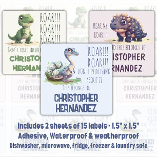 Kindergarten Boy Dinos Funny School Labels