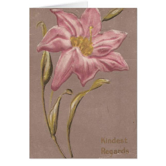 Kindest Regards Cards (Front)