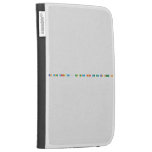 Can you write my 40 page essay for me now case study on Kindle Cases