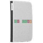 Ms Danna  Kindle Cases