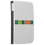 Celebrate   Kindle Cases