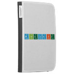 Minecraft  Kindle Cases