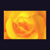 Kindled Rose Canvas Print