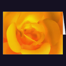 Kindled Rose Card