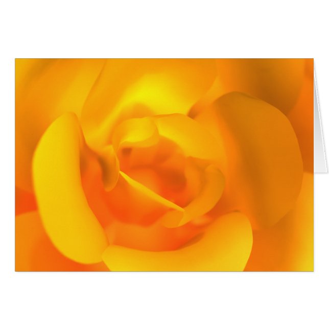 Kindled Rose Card (Front Horizontal)