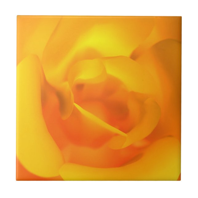 Kindled Rose Decorative Tile / Trivet (Front)