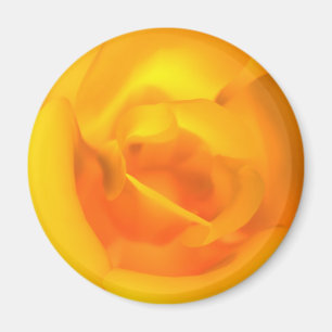 Kindled Rose Magnet