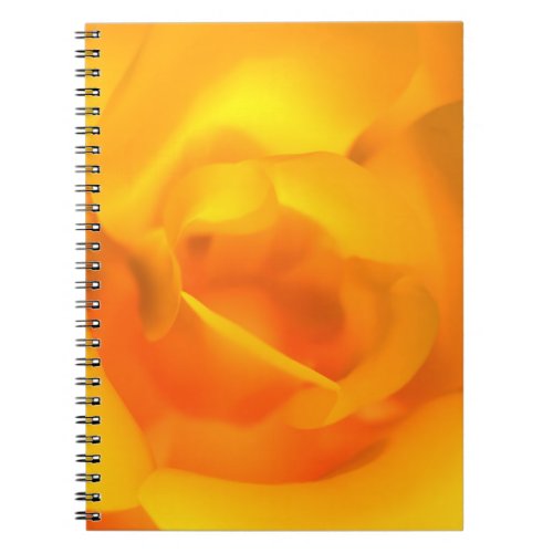 Kindled Rose Notebook