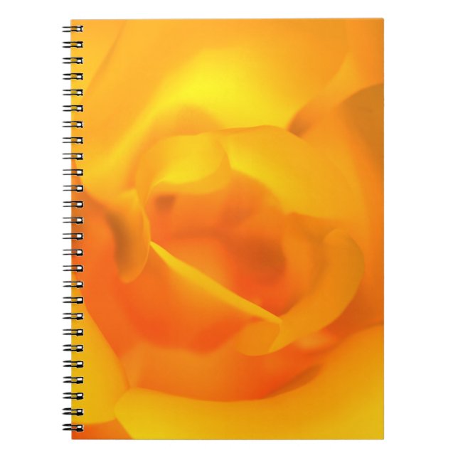Kindled Rose Notebook (Front)