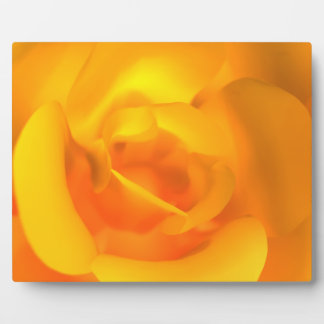 Kindled Rose Photo Plaque