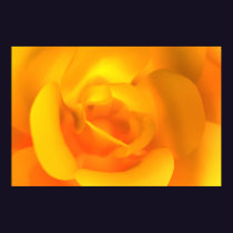 Kindled Rose Print