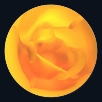 Kindled Rose Stickers