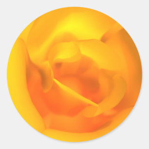 Kindled Rose Stickers