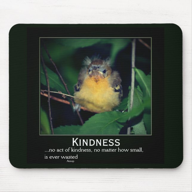 Kindness Baby Oriole Inspirational Mouse Pad (Front)