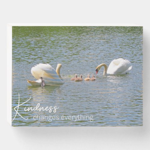 Kindness Changes Everything Swans Wooden Box Sign