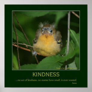 Kindness Inspirational Quote Baby Oriole Poster