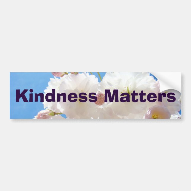 Kindness Matters bumper stickers Kind inspiration (Front)