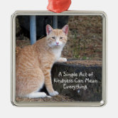 Maine Coon (8 months old) Metal Ornament