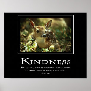 Kindness Poster
