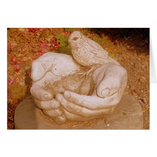Kindness To All Cards (Front Horizontal)