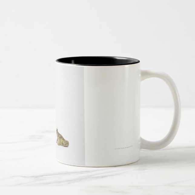 King and Queen frog looking at each other Two-Tone Coffee Mug (Right)