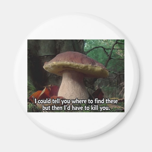 King Bolete - I'd Have to Kill You Magnet (Front)