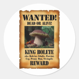 King Bolete - Wanted Dead or Alive Classic Round Sticker