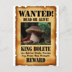 King Bolete - Wanted Dead or Alive Postcard