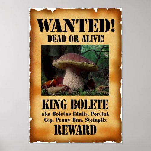 King Bolete _ Wanted Dead or Alive Poster