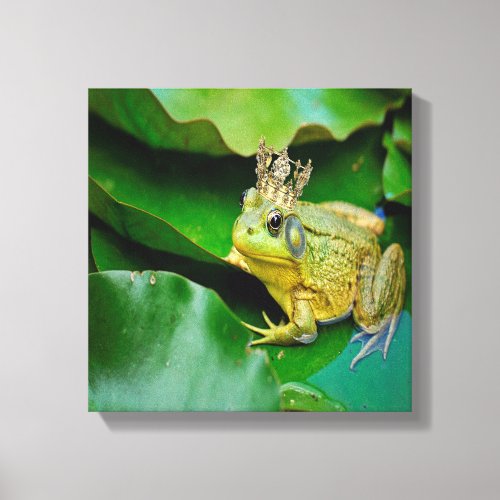 King Bullfrong Canvas Print