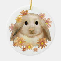  Rabbit Ornament