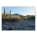 King Canyon Trail I Cards