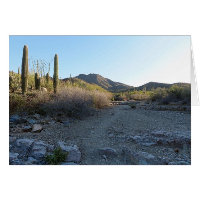 King Canyon Trail I Cards (Front Horizontal)