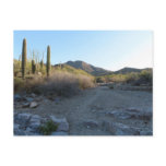 King Canyon Trail I Postcard