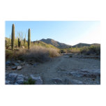 King Canyon Trail I Poster