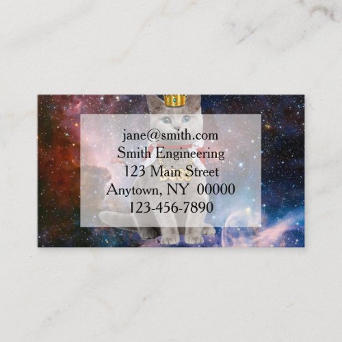 King cat in space business card