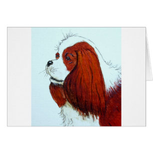 King Charles Cavalier Spaniel Cards