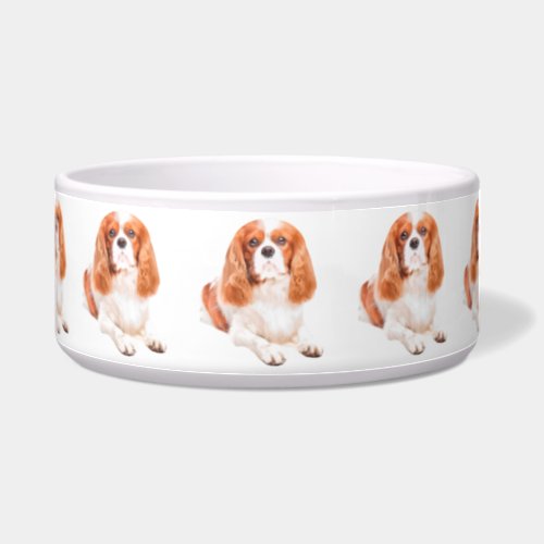 King Charles Cavalier Spaniel Dog Bowl