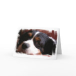King Charles Cavalier Spaniel Greeting Card